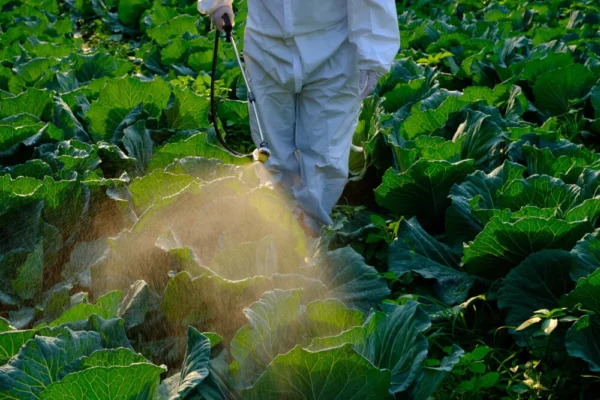 Undertaker Insecticide Insecticides – Bliss Import Export
